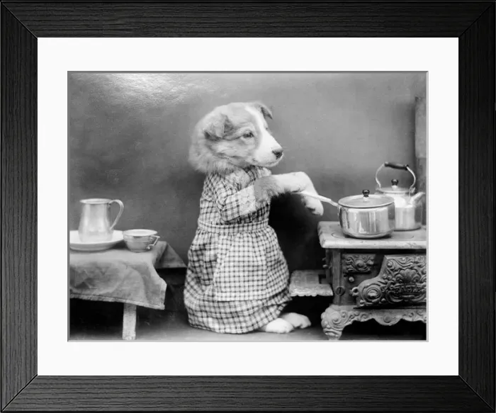 Framed Print : Dog Cooking Framed Print : Dog Cooking