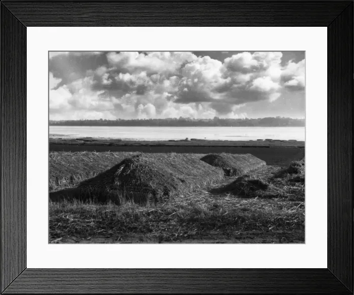 Framed Print : Bramley Apple Clamp Framed Print : Bramley Apple Clamp