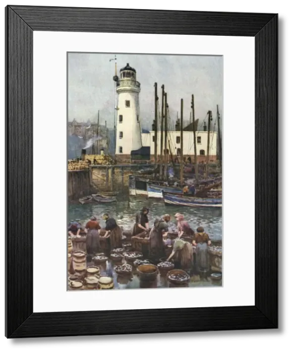 Framed Print : Scarborough Harbour Framed Print : Scarborough Harbour