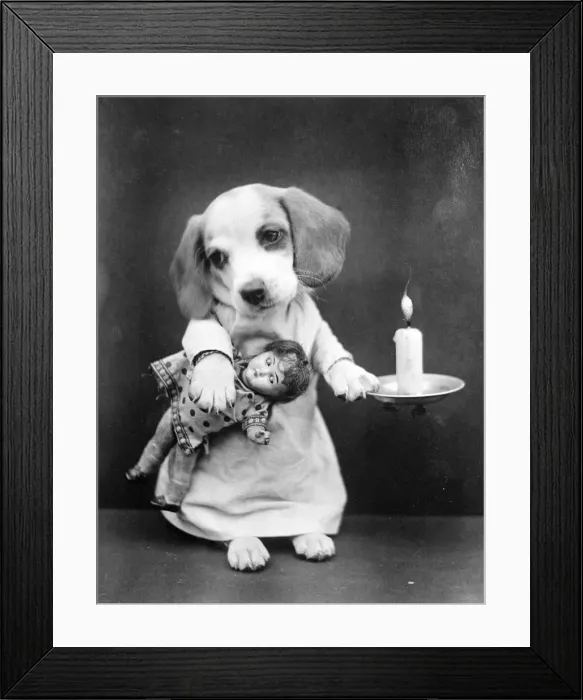 Framed Print : Beagle Puppy with Candle Framed Print : Beagle Puppy with Candle