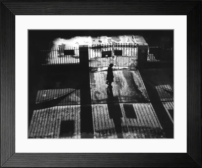 Framed Print : Railings Shadows Framed Print : Railings Shadows