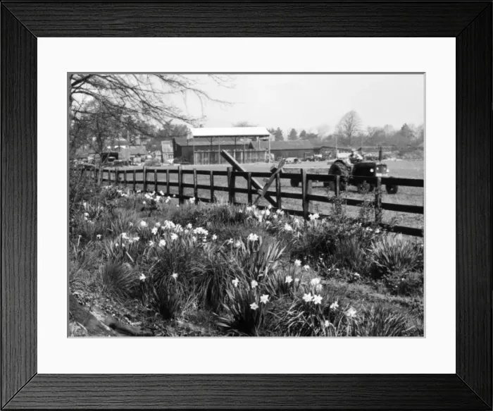 Framed Print : Spring Farming Scene Framed Print : Spring Farming Scene