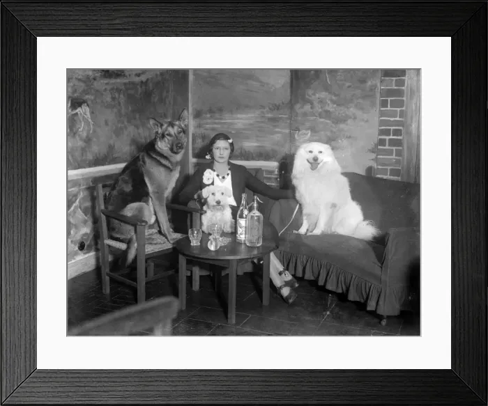 Framed Print : Dogs Club Cocktail Bar Framed Print : Dogs Club Cocktail Bar