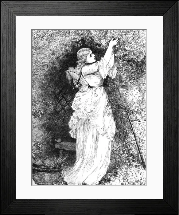 Framed Print : Lady Gardener 1870S Framed Print : Lady Gardener 1870S
