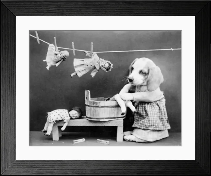 Framed Print : Doggy Laundress Framed Print : Doggy Laundress