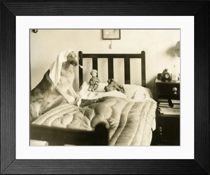 Framed Print : Doggie Doctor Framed Print : Doggie Doctor