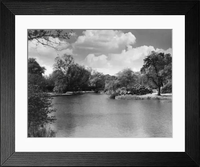 Framed Print : Regents Park Lake Framed Print : Regents Park Lake