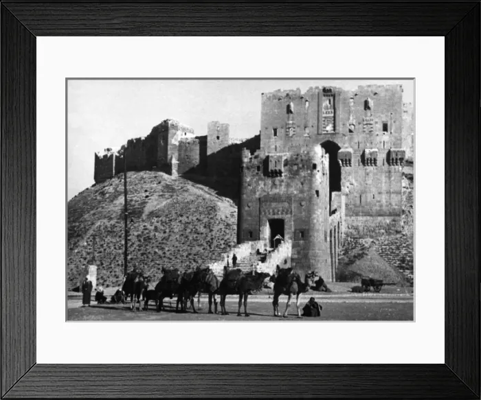 Framed Print : Citadel of Aleppo Framed Print : Citadel of Aleppo