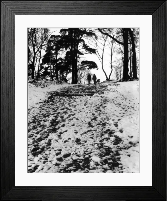 Framed Print : Walking in the Snow Framed Print : Walking in the Snow