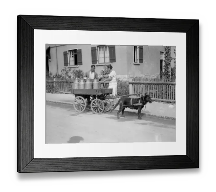 Framed Print : Black Forest Milk Cart Framed Print : Black Forest Milk Cart