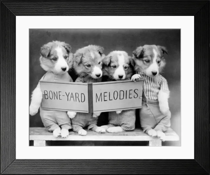 Framed Print : BONE-YARD MELODIES Framed Print : BONE-YARD MELODIES