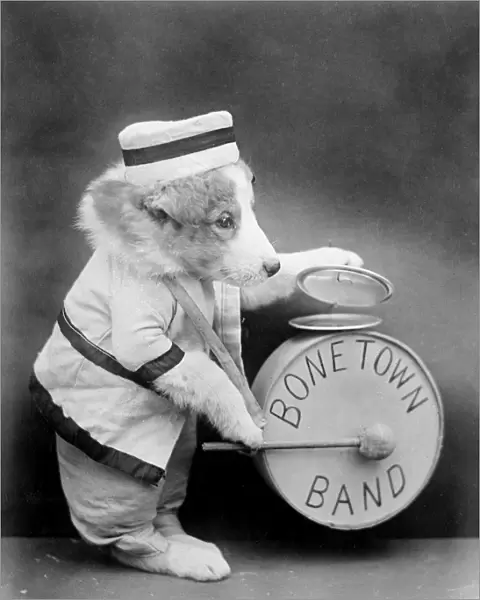 Bone Town Band