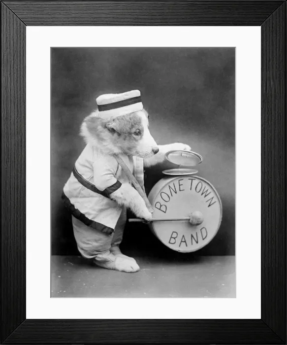 Framed Print : Bone Town Band Framed Print : Bone Town Band