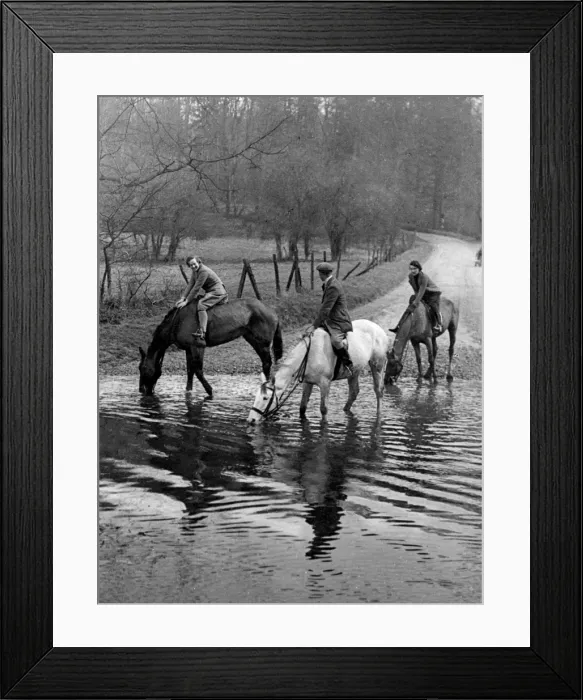 Framed Print : Horses at a Ford Framed Print : Horses at a Ford