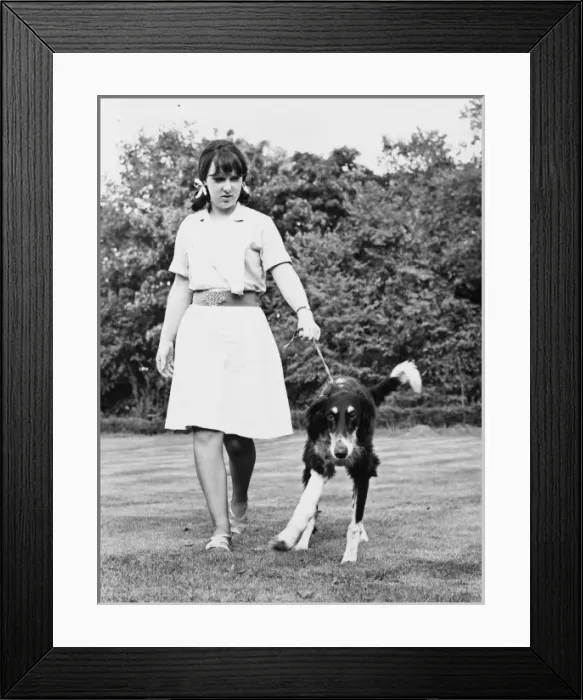 Framed Print : Dog with Broken Leg Framed Print : Dog with Broken Leg