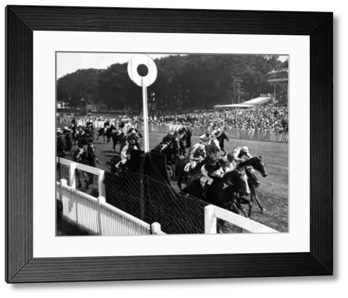 Framed Print : Goodwood Stewards Cup Framed Print : Goodwood Stewards Cup