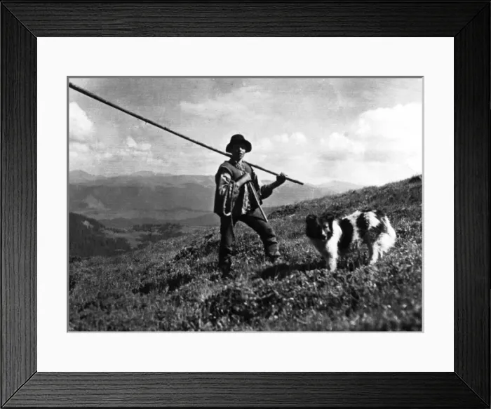 Framed Print : Russian Shepherd Framed Print : Russian Shepherd