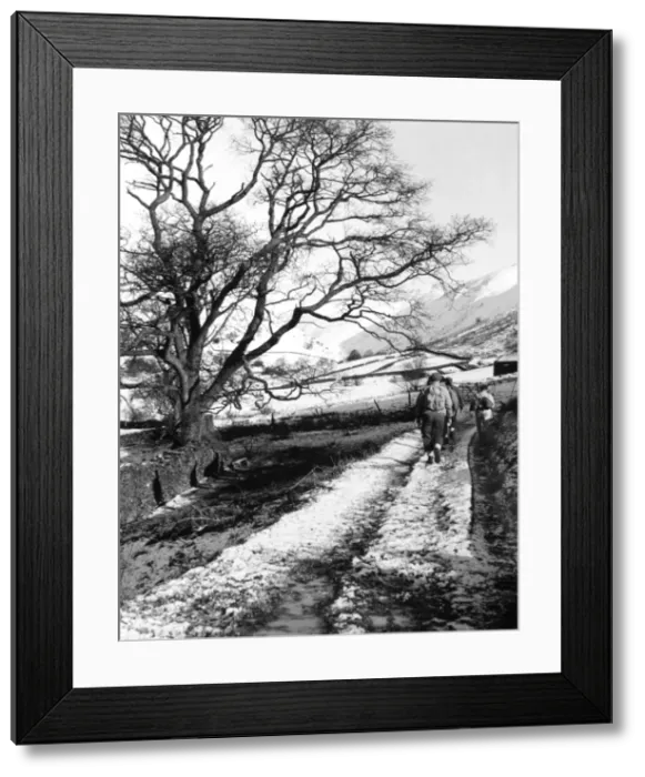 Framed Print : Rambling in Wales Framed Print : Rambling in Wales