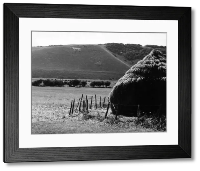 Framed Print : Westdean White Horse Framed Print : Westdean White Horse