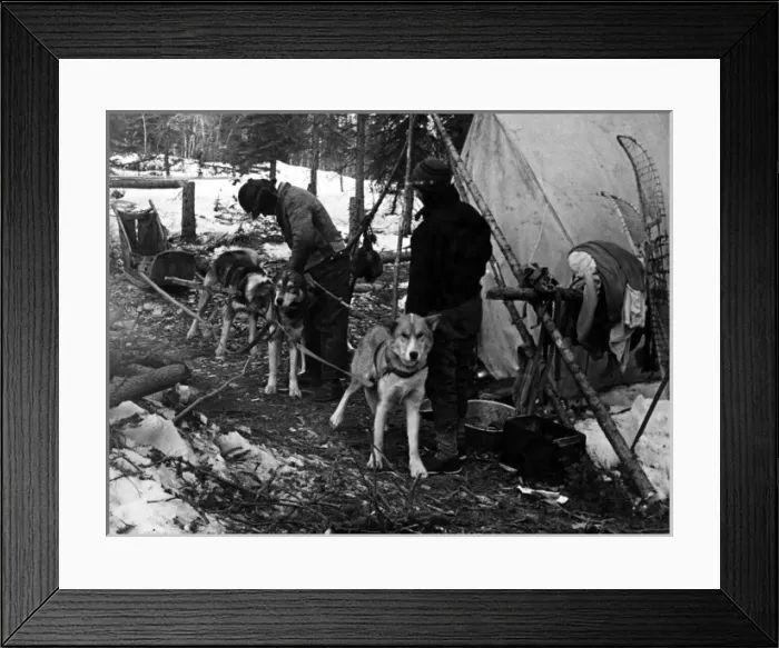 Framed Print : Husky Sleigh Framed Print : Husky Sleigh