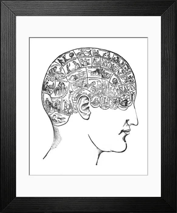 Framed Print : Phrenology - Traits Framed Print : Phrenology - Traits