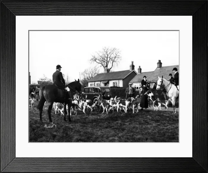 Framed Print : Herfordshire Fox Hunt Framed Print : Herfordshire Fox Hunt