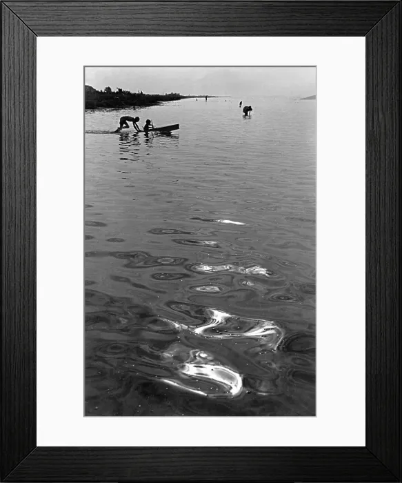Framed Print : Danube Reflections Framed Print : Danube Reflections