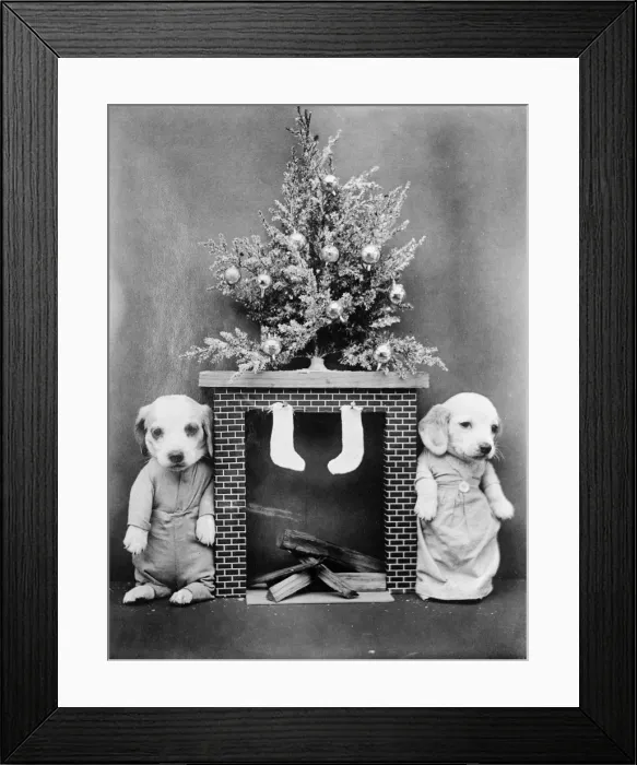 Framed Print : Christmas Puppies