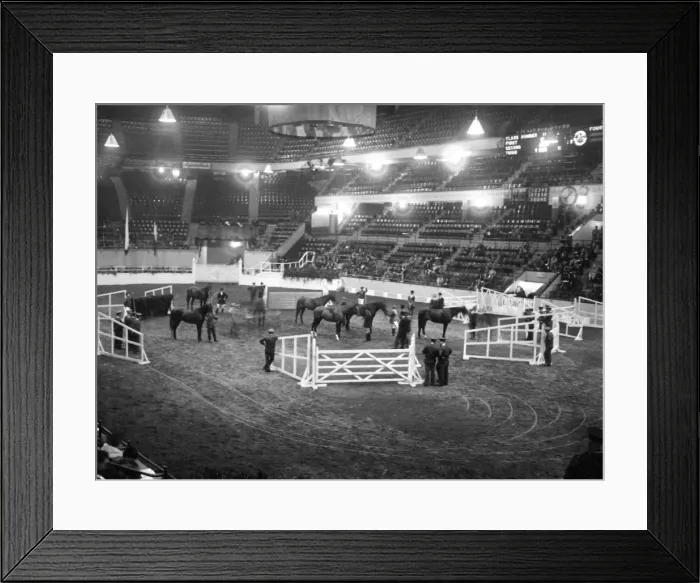 Framed Print : Show Jumping Framed Print : Show Jumping