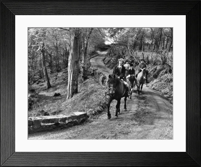 Framed Print : Girls Riding Horses Framed Print : Girls Riding Horses