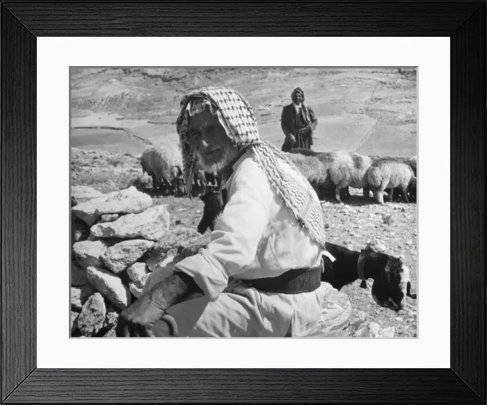 Framed Print : Israeli Shepherds Framed Print : Israeli Shepherds