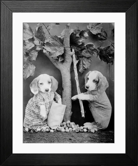 Framed Print : Dogs under Fruit Tree Framed Print : Dogs under Fruit Tree