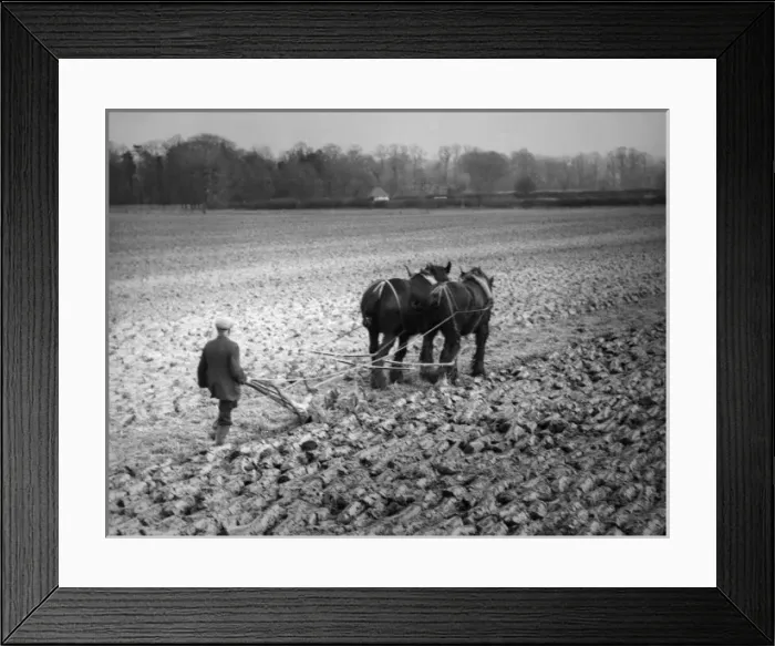 Framed Print : Picture No. 10180492 Framed Print : Picture No. 10180492
