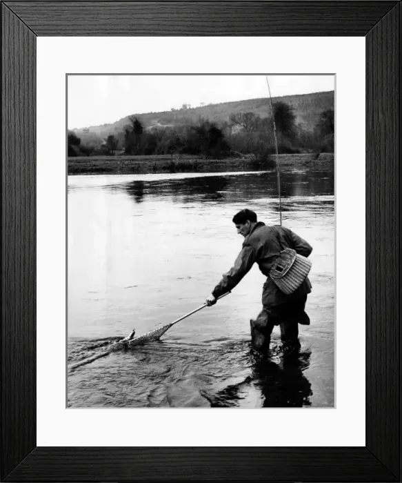 Framed Print : Freshwater Fishing Framed Print : Freshwater Fishing