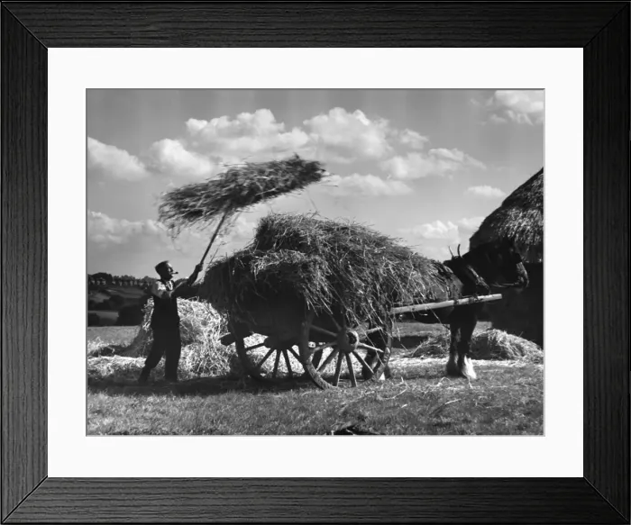 Framed Print : Picture No. 10180455 Framed Print : Picture No. 10180455