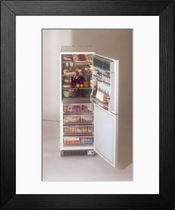 Framed Print : The Fridge Freezer Framed Print : The Fridge Freezer