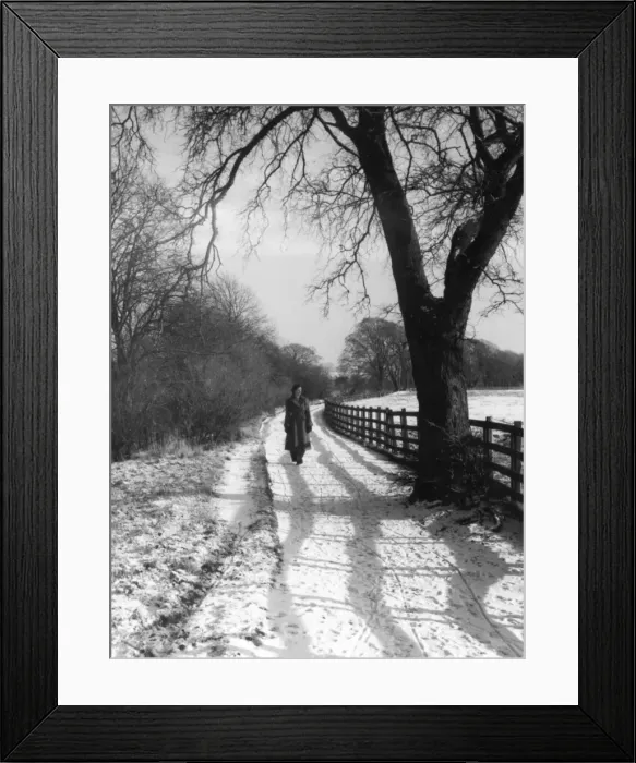 Framed Print : Walking in the Snow Framed Print : Walking in the Snow