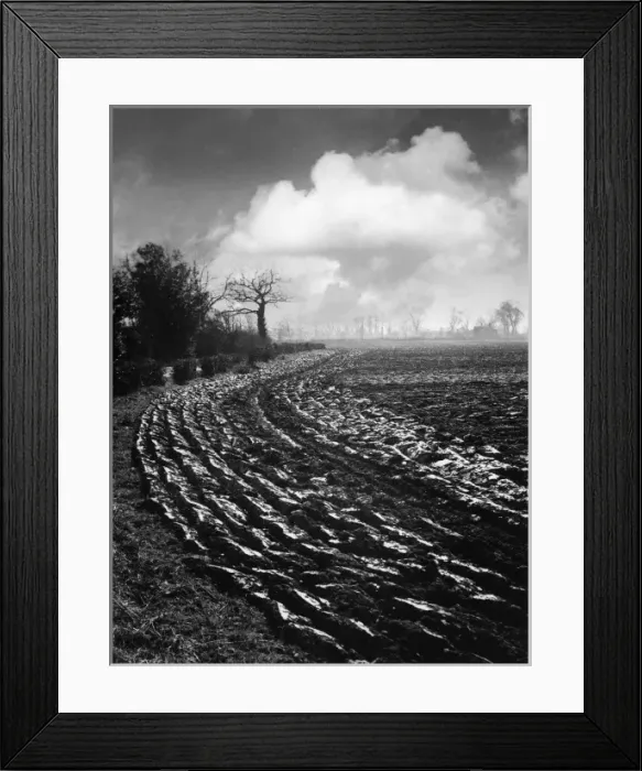 Framed Print : Picture No. 10180503 Framed Print : Picture No. 10180503