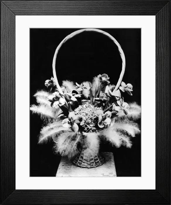 Framed Print : Flowers & Feathers Framed Print : Flowers & Feathers