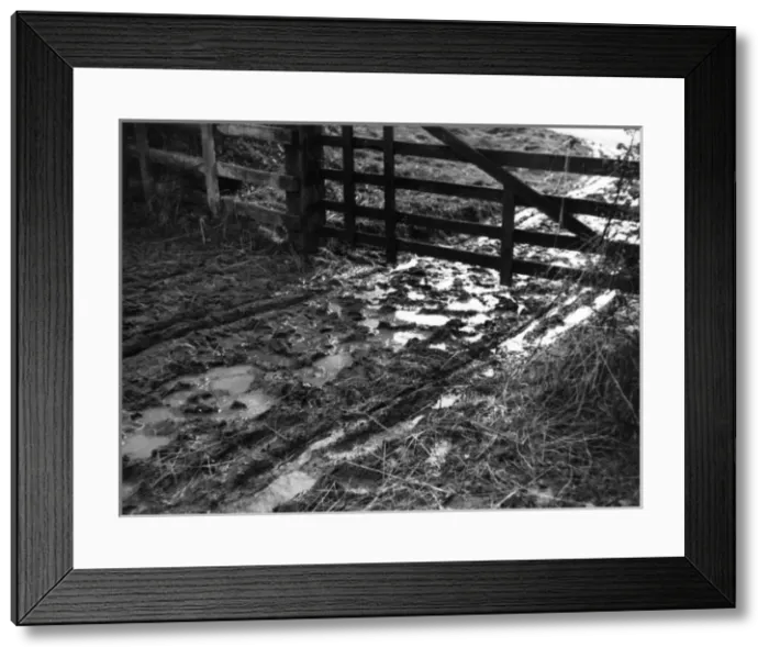 Framed Print : Mud at the Gate Framed Print : Mud at the Gate