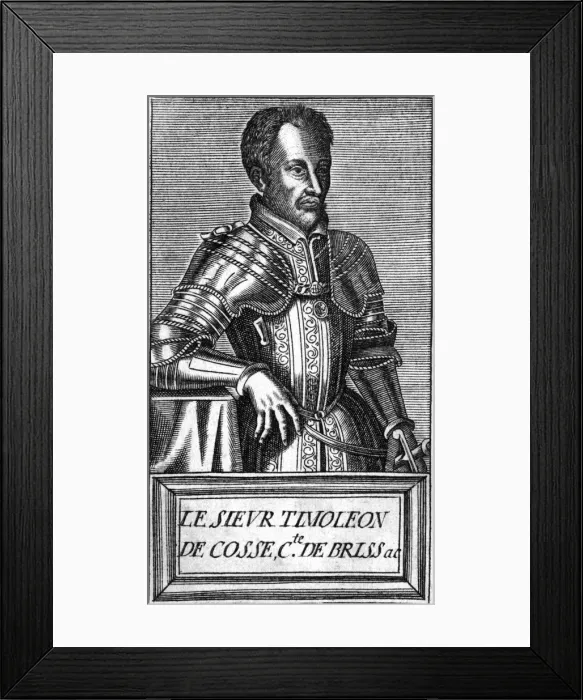 Framed Print : Timoleon Comte Brissac Framed Print : Timoleon Comte Brissac