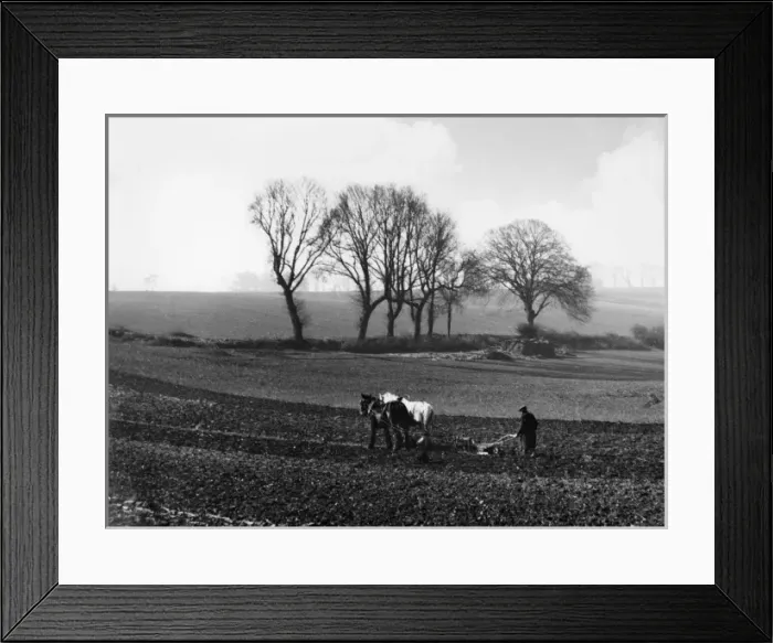 Framed Print : Picture No. 10180502 Framed Print : Picture No. 10180502