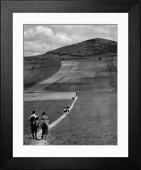 Framed Print : Rambling in Hungary Framed Print : Rambling in Hungary