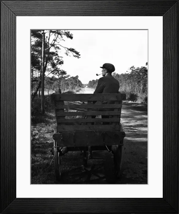 Framed Print : Irish Man on a Cart Framed Print : Irish Man on a Cart