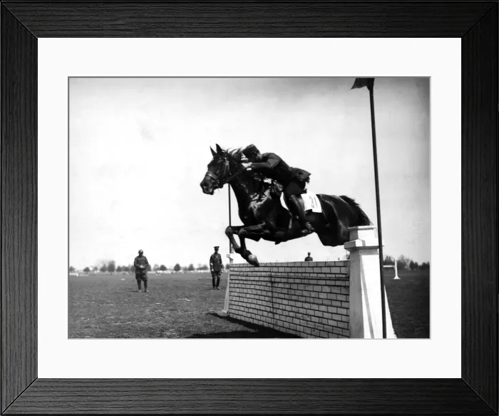 Framed Print : Roumanian Horse Show Framed Print : Roumanian Horse Show