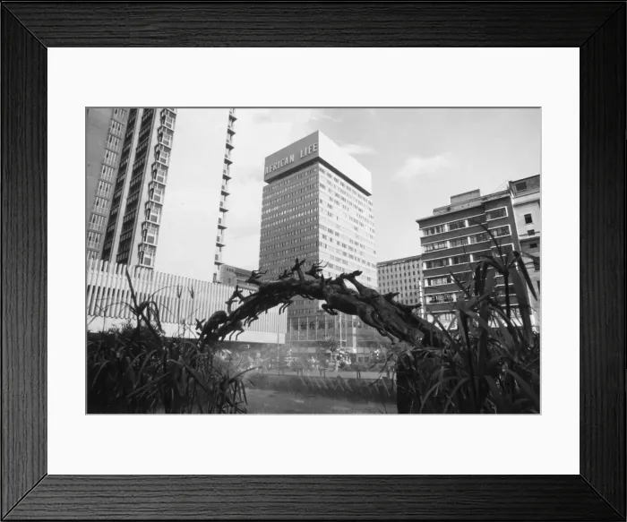 Framed Print : Johannesburg Framed Print : Johannesburg