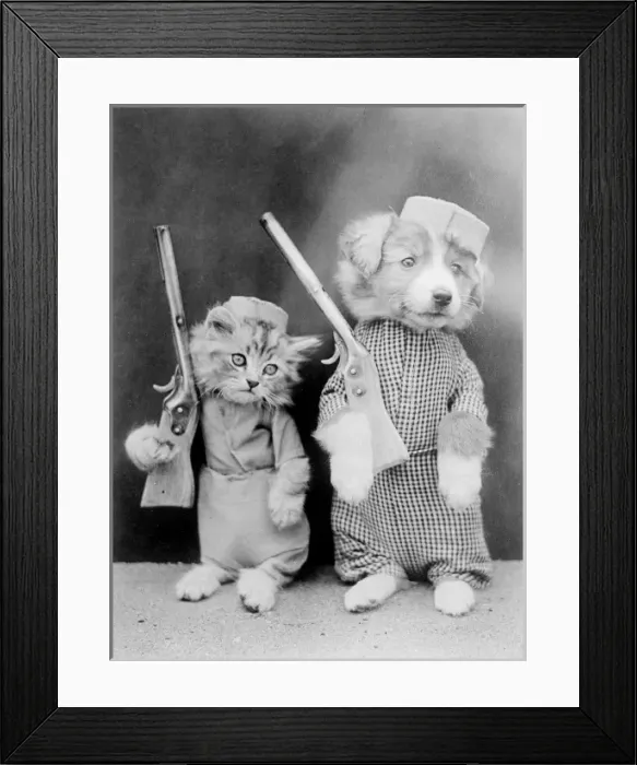 Framed Print : Dog and Cat Soldiers Framed Print : Dog and Cat Soldiers