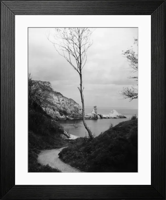 Framed Print : Ansteys Cove Framed Print : Ansteys Cove