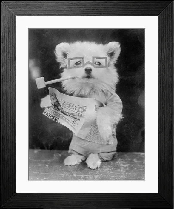 Framed Print : Dog, Pipe and Newspaper Framed Print : Dog, Pipe and Newspaper