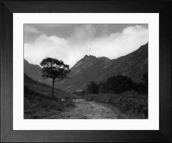 Framed Print : Picture No. 10180486 Framed Print : Picture No. 10180486